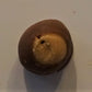 Buckeyes (Gluten Free)