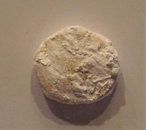 Key Lime Coin Cookie